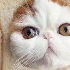 三代试管婴儿有哪些步骤？要多少钱？