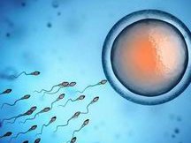 子宫纵隔生育困难可以在乌兰浩特市做三代试管吗？子宫有问题做试管的成功率高吗？