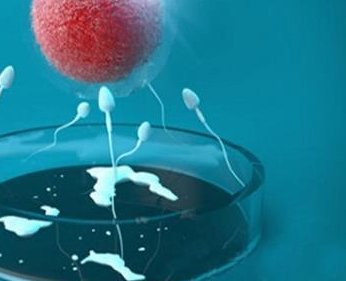 40以上做三代试管成功率很低吗？